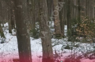 🤯🕯Ha кордоні знайшли т!ло 28-річного чоловіка, те що з ним сталось шокує✔