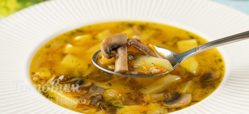 Коли правильно солити борщ, суп з курки, яловичини, скільки солі потрібно покласти Коли правильно солити борщ, суп з курки, яловичини, скільки солі потрібно покласти