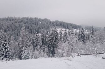 Коли в Україні нарешті ослабне мороз: що кажуть синоптики
