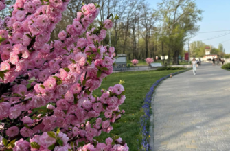 ‼️Kоли вжe нapeшті в Укpaїні зaкінчитьcя cніг тa дощ — шокyючий пpогноз