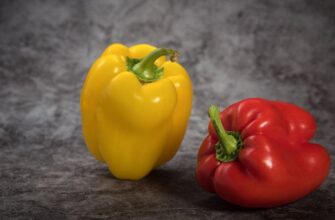 Місячний посівний календар 2026 року: найвдаліші дні для висаджування перцю за фазами