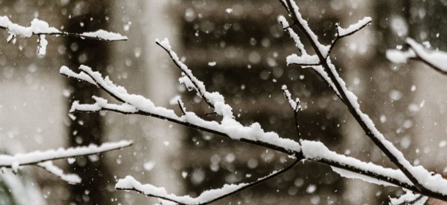 Морози до -13 та штормовий вітер: синоптики попередили про небезпечну погоду в Україні 19 лютого Морози до -13 та штормовий вітер: синоптики попередили про небезпечну погоду в Україні 19 лютого