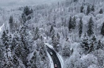 Морози до -20, сильні опади: прогноз погоди в Україні на тиждень, 16-22 лютого