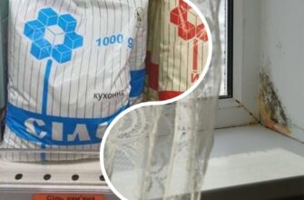 Навіщо я тримаю 1 пачку солі на підвіконні: цей простий трюк можна назвати “Дідівським”, зате він працює