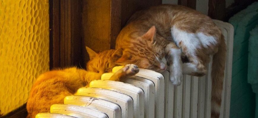 Коли в квартирах стане холодно: у ДТЕК розповіли про графіки відключення опалення Коли в квартирах стане холодно: у ДТЕК розповіли про графіки відключення опалення