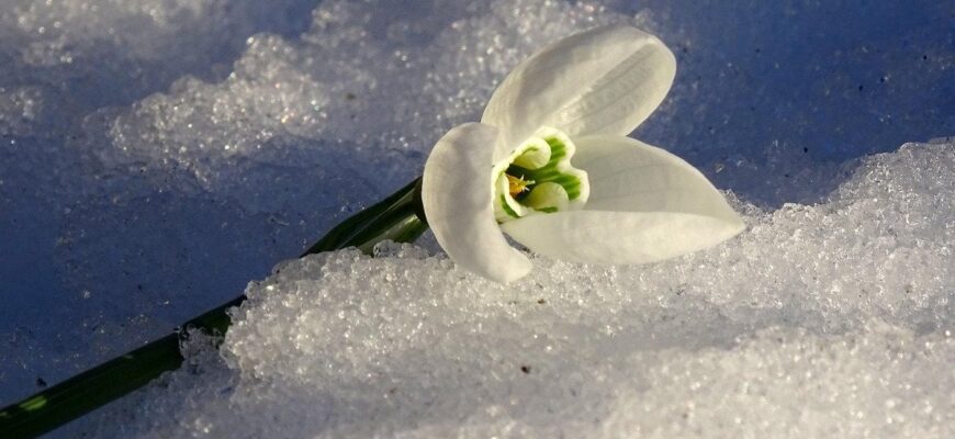 Останній ривок зими: синоптик попередив про 24-градусні морози Останній ривок зими: синоптик попередив про 24-градусні морози