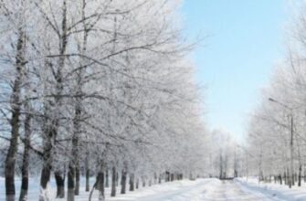 Рано раділи‼️🥶Синоптик дав прогноз, якого ніхто не очікував 🤯