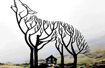 Перевірте себе! Вовк, дерево чи будинок? Тест на особистість розкриє правду про вас