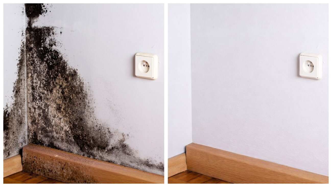 Господині розповіли, як позбутися чорної плісняви на стінах