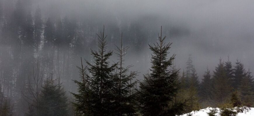 Подвійний удар стихії накриє Україну: на центр сунуть повені, а із півночі антициклон — попередження синоптиків Подвійний удар стихії накриє Україну: на центр сунуть повені, а із півночі антициклон — попередження синоптиків