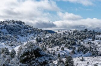 Погода готує нове випробування українцям: скільки ще триватимуть люті морози