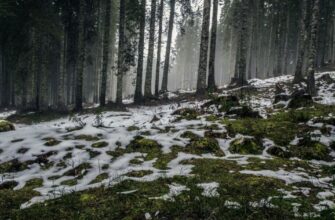 Погода в Україні: синоптик назвав дату значного потепління