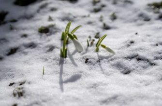 Погоду в Україні формуватиме антициклон: синоптикиня дала прогноз на першу декаду березня