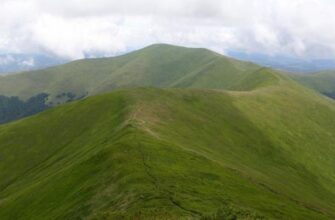 “Помилочка трапилась!”: Після скандального розголосу АРМА скасувало торги, за якими продало сотні гектарів в Карпатах екс-регіоналу Льовочкіну