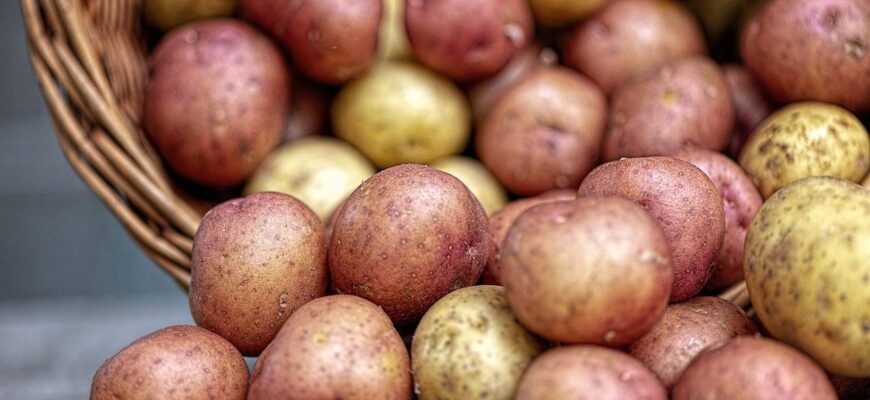 7-й рік саджаю 5 сортів картоплі – у гнізді до 17 штук: усередині ніжні, соковиті, шкірка тонка 7-й рік саджаю 5 сортів картоплі – у гнізді до 17 штук: усередині ніжні, соковиті, шкірка тонка