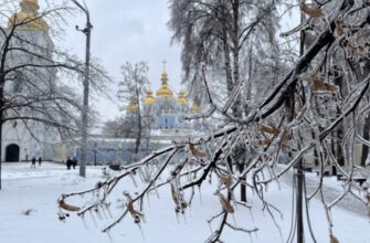 Хуртовини та сильні снігопади: на Україну насувається справжній Армагеддон