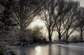 Морози ще не хочуть відступати: в Україні очікуються значні стрибки температури