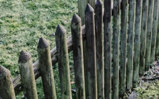 Яка максимальна висота паркану між сусідами може бути у 2026 році