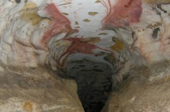 У 1940 році хлопець пішов за своїм собакою в дупло дерева та випадково відкрив таємне місце