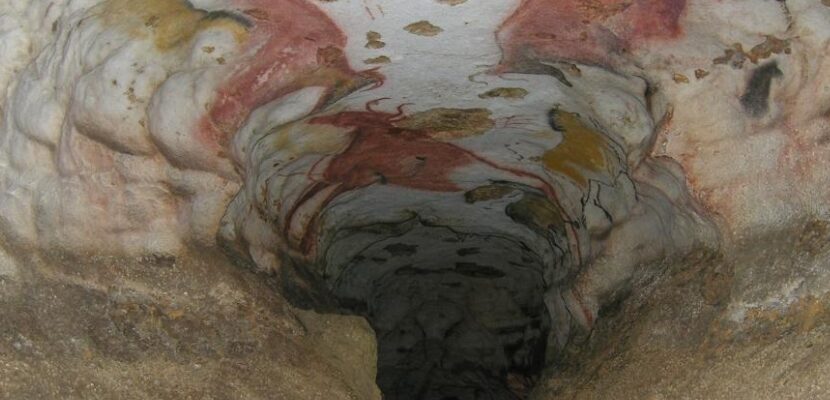 У 1940 році хлопець пішов за своїм собакою в дупло дерева та випадково відкрив таємне місце