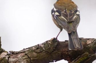 Україну накриє антициклон: синоптикиня розкрила, яку погоду він принесе у п’ятницю