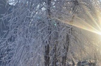 Коли тріскучі морози в Україні підуть на спад: синоптикиня назвала точну дату