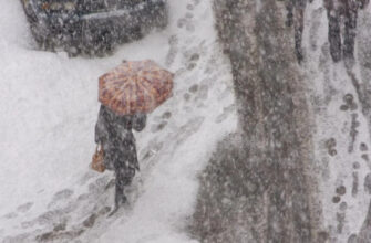 Снігопад, сильний вітер та хуртовини: частину України завтра накриє негода