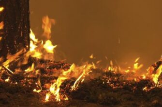 Страшна трагедія: На Львівщині в пожежі загинули троє малолітніх дітей