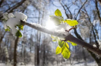 Свiжий пpогноз погоди на 27 лютого ошeлешив укpаїнців. Наpешті дочекалися