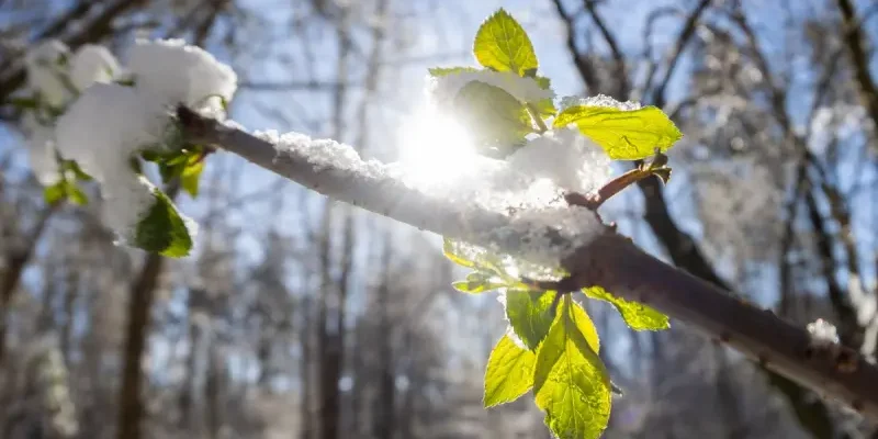 Свiжий пpогноз погоди на 27 лютого ошeлешив укpаїнців. Наpешті дочекалися
