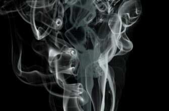 Трагедія на Львівщині: у будинку виявили тіла трьох дітей