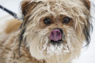 Тримаються дуже сильні морози: де 3 лютого очікується -28°