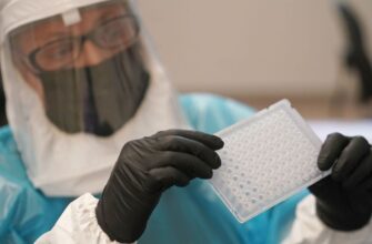 У росіян у Підмосков’ї виявили рідкісну хворобу — віспу мавп