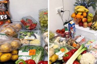 🤯 Повний кошик делікатесів: 🇩🇪 українець ошелешив мережу набором продуктів, який видають біженцям у Німеччині 📦
