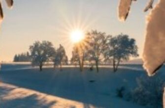 УВАГА‼️5 лютого потеплішає по всій Україні, але погоду зіпсують