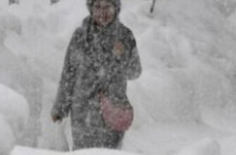 ❄️ Увага❗️Сьогодні вночі Україну накриє снігопад та крижаний дощ — названо міста✔