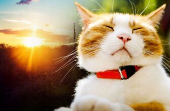 Від морозів до дощів: де в Україні очікувати опадів та коли температура підскочить до “плюсів”