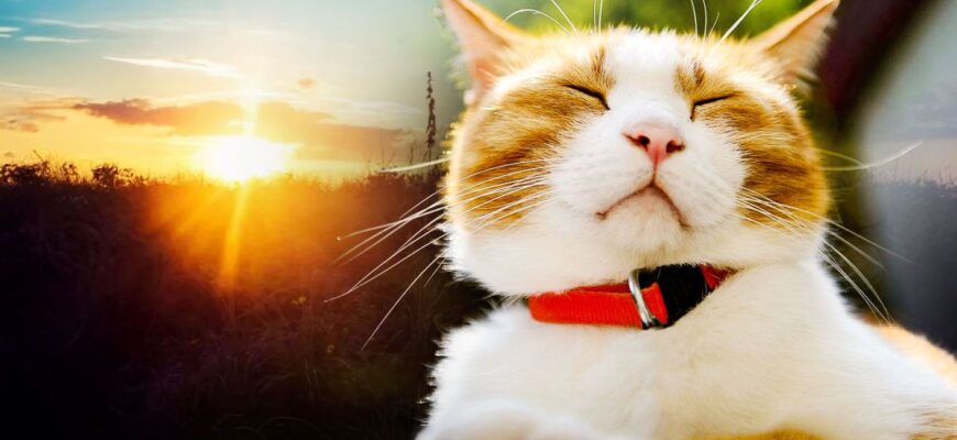 Від морозів до дощів: де в Україні очікувати опадів та коли температура підскочить до “плюсів”