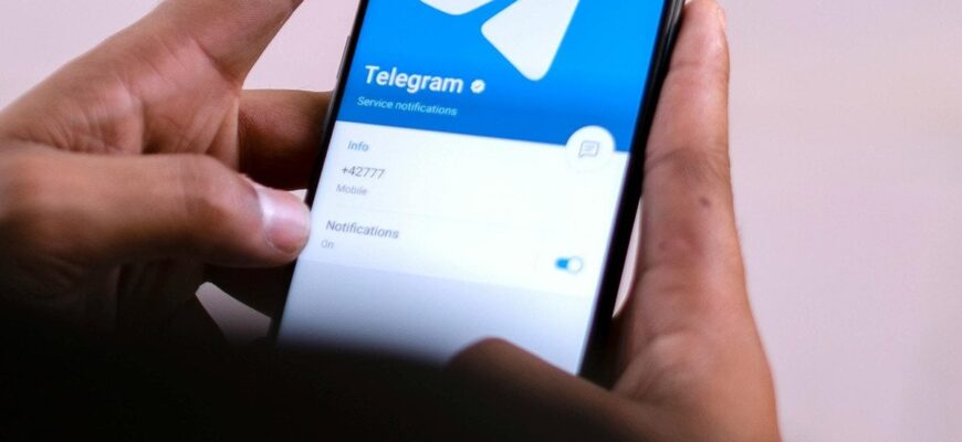 Заборона Telegram в Україні: Верещук пояснила, для чого це потрібно