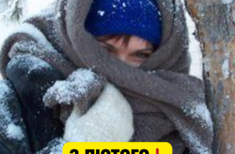 ЗАВТРА, 2 лютого❗️Синоптики попередили — страшний мороз накриє всю Україну 😱👇