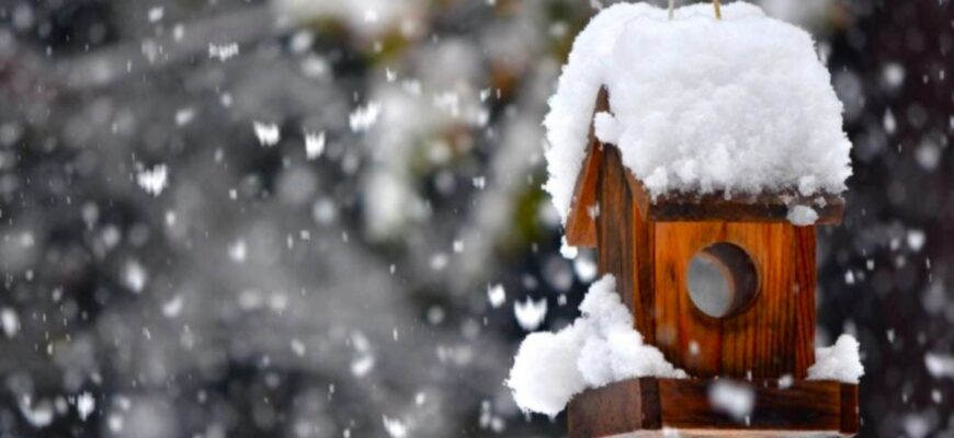 Зима не відступить, але є хороші новини – на яку погоду чекати найближчими днями