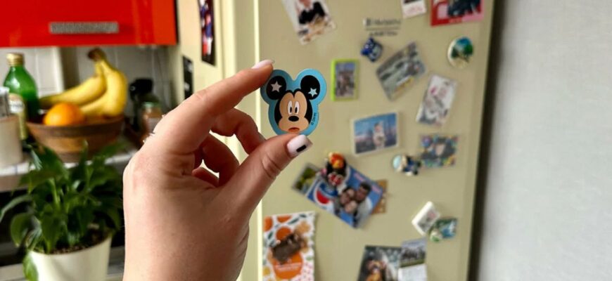 Старі магніти з холодильника не викидаю — роблю корисну річ для кухні за 5 хв: ви не уявляєте, як це зручно Старі магніти з холодильника не викидаю — роблю корисну річ для кухні за 5 хв: ви не уявляєте, як це зручно