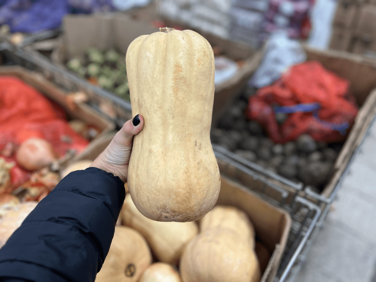 Експерти порадили, як покращити врожайність гарбузів на грядці, аби їхній розмір був більшим