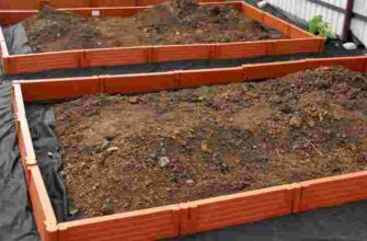 Ранній врожай гарантований: як облаштувати теплі грядки власноруч