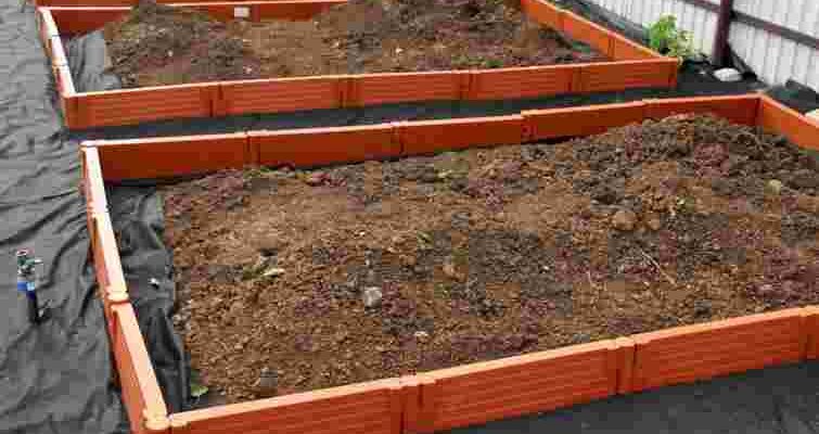 Ранній врожай гарантований: як облаштувати теплі грядки власноруч Ранній врожай гарантований: як облаштувати теплі грядки власноруч