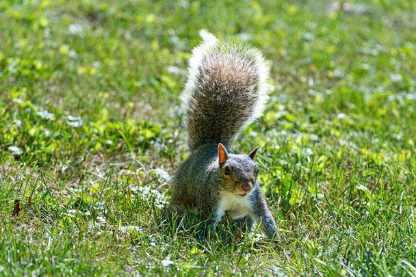 Народні прикмети 6 березня / © pexels.com