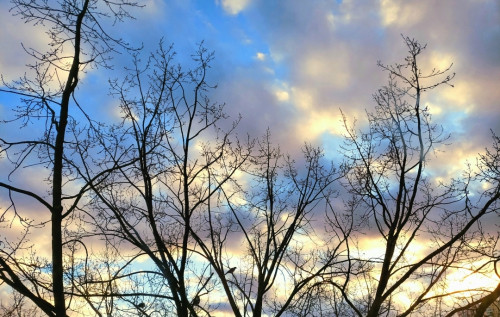 Синоптикиня Наталка Діденко розповіла, якою буде п0года на вихідних Синоптикиня Наталка Діденко розповіла, якою буде п0года на вихідних