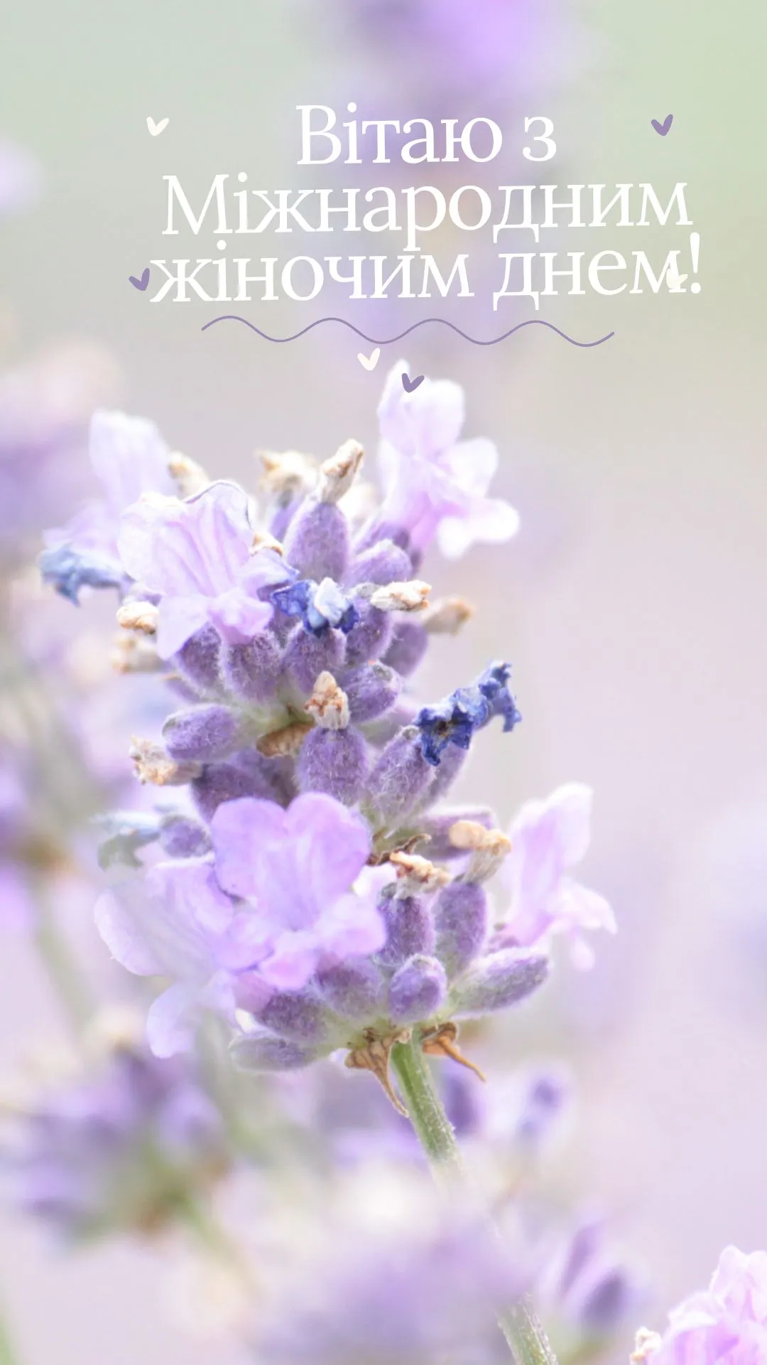 Привітання з 8 березня для мами Привітання з 8 березня для мами