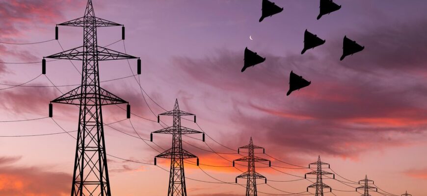 “Шахеди” вже літають у небі над Україною: для яких областей є загроза “Шахеди” вже літають у небі над Україною: для яких областей є загроза