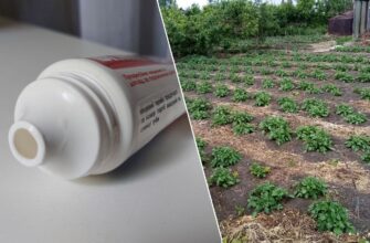 Не сміття, а золото: тюбики від зубної пасти не викидаю – із користю використовую на дачі. Трюк на 10 з 10